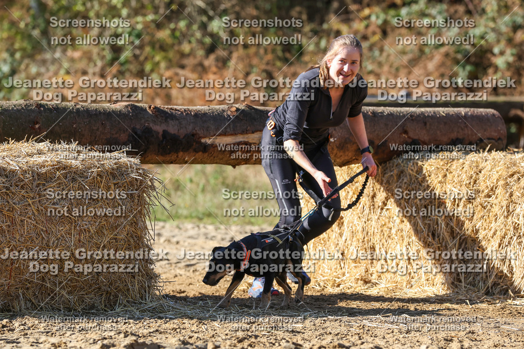 Dog Paparazzi - Strongdog 10-25-2854 | Dog Paparazzi Jeanette Grottendiek Fotografie & Videografie - Realisiert mit Pictrs.com
