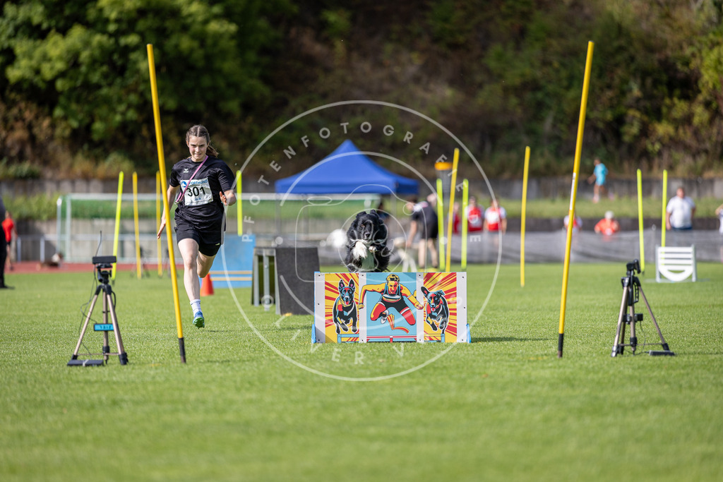 Pfotenfotografie_DV3A0979 | Hundefotografie, Tierfotograf, Pfotenfotografie, Fotoshooting Hund, Hunde Portrait, Hundesport, Hundeportraits, Heideshooting, Hunde, Sportfotograf, Hundefotograf, Turnierhundsport, THS,  - Realisiert mit Pictrs.com