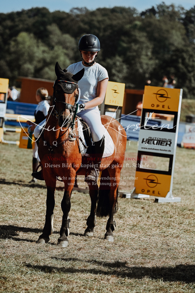 DSC_0121 | Pferde- und Turnierfotografie in Westsachsen. Pferdeportraits, Auftragszeichnungen und intuitive Kunst.