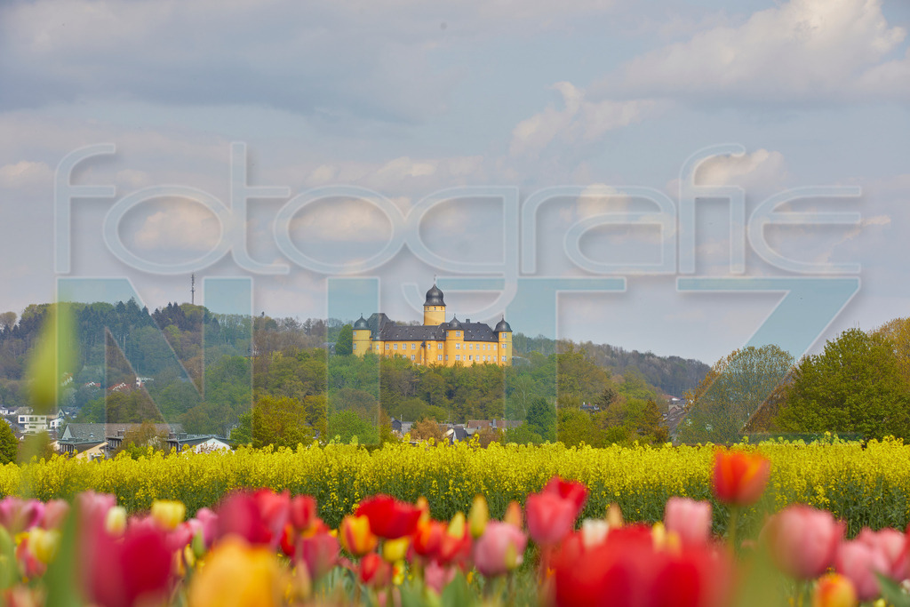 2022-04-27 15-51-52_5D429783 | Nitz Fotografie aus Montabaur bietet Ihnen hier die Möglichkeit Bilder auszusuchen und zu bestellen. 