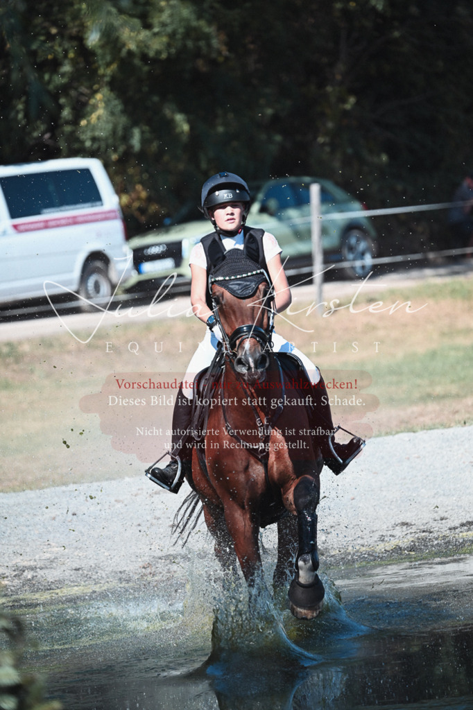 DSC_8596 | Pferde- und Turnierfotografie in Westsachsen. Pferdeportraits, Auftragszeichnungen und intuitive Kunst.