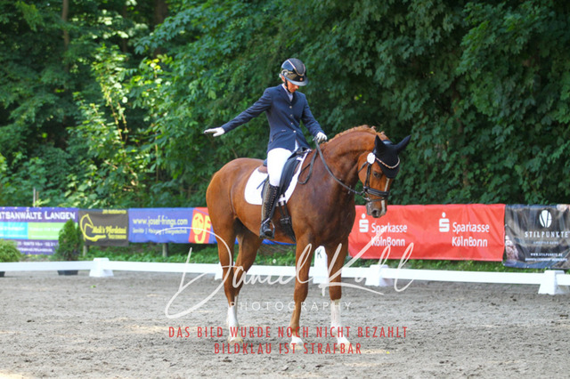 DKP42510 | Turniersportfotografie; Pferdefotografie; Dressurfotografie