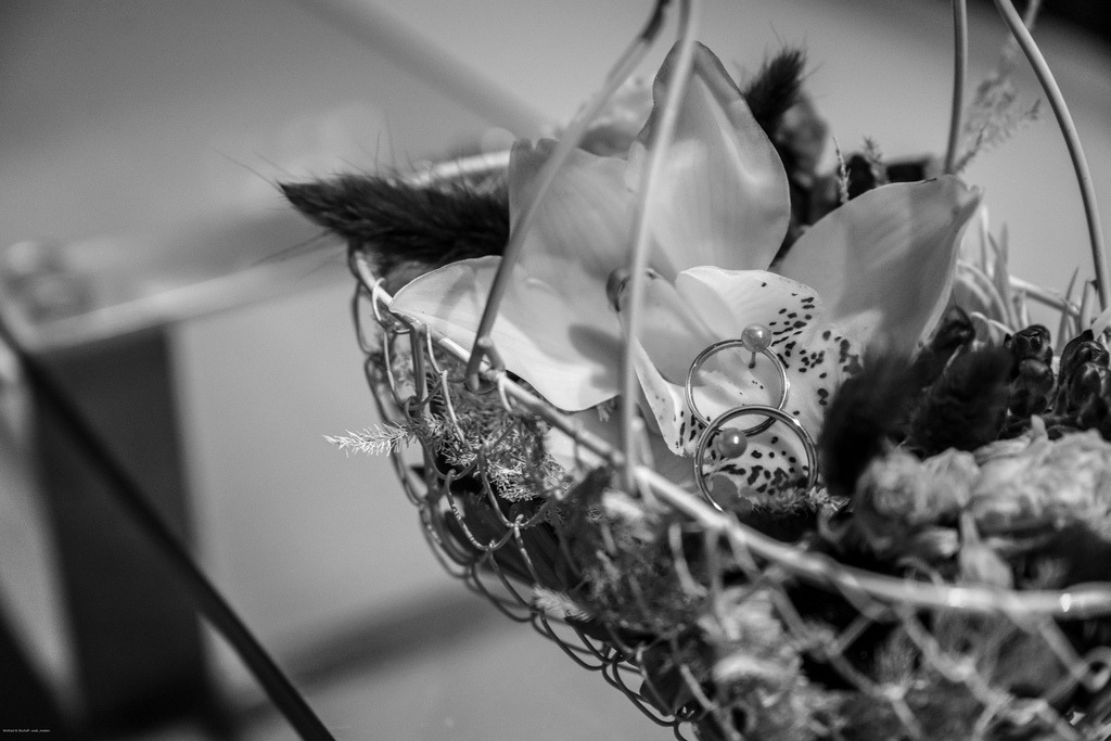 WWB_5734 | <Fotografie> <Video> <Film> <Winfried Bischoff> - Realisiert mit Pictrs.com