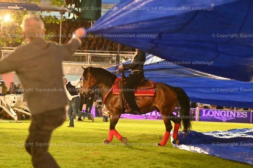 20230526_Pferdenacht_1074 | equistock