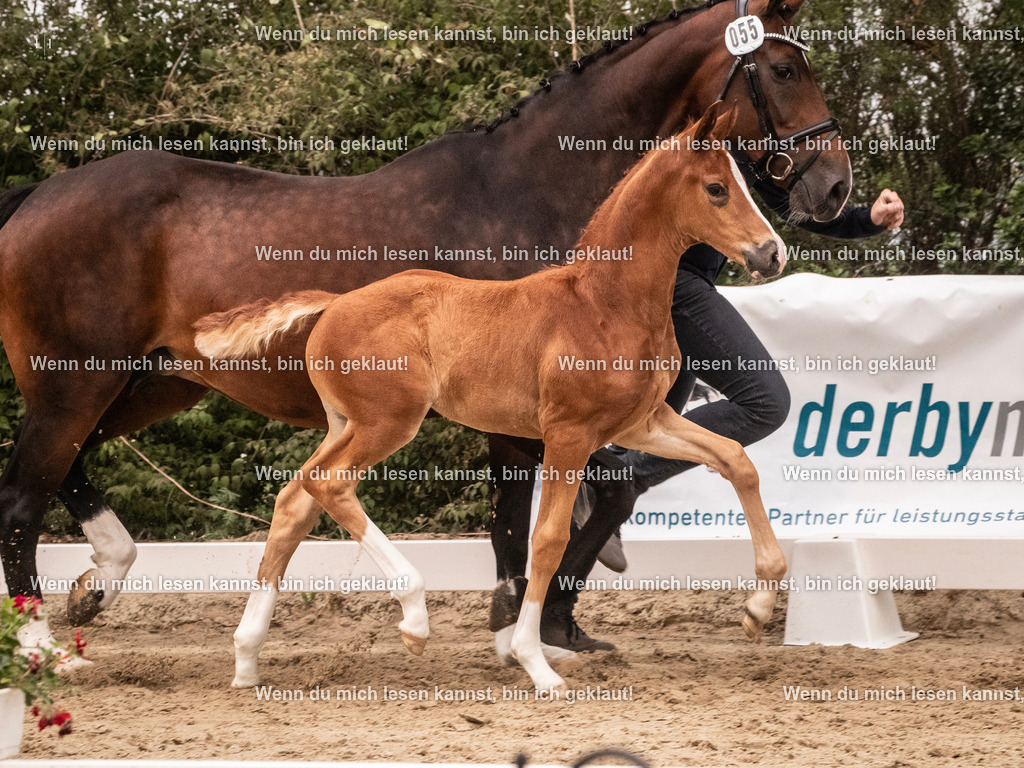 A10I5571 | photographylinaismer - Realisiert mit Pictrs.com