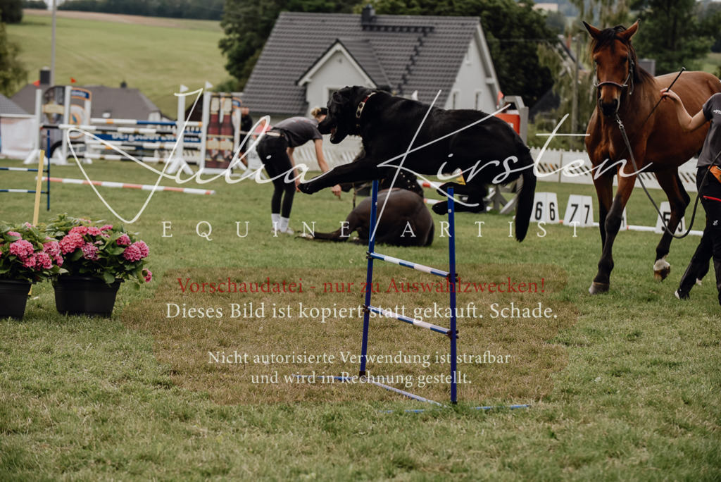 DSC_4001 | Pferde- und Turnierfotografie in Westsachsen. Pferdeportraits, Auftragszeichnungen und intuitive Kunst.