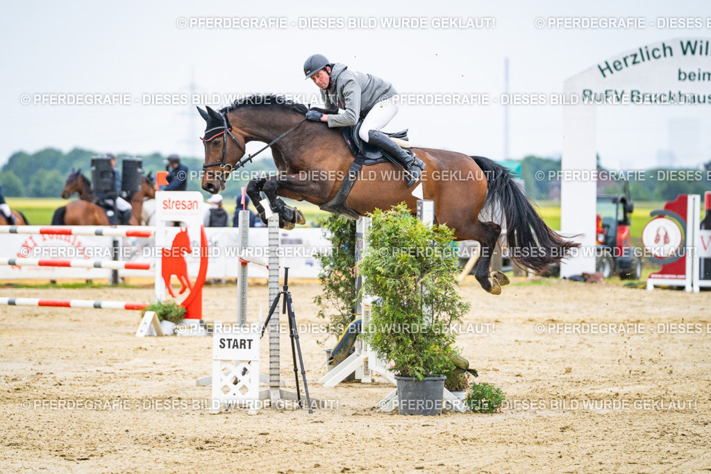 DSC09143 | Pferdegrafie