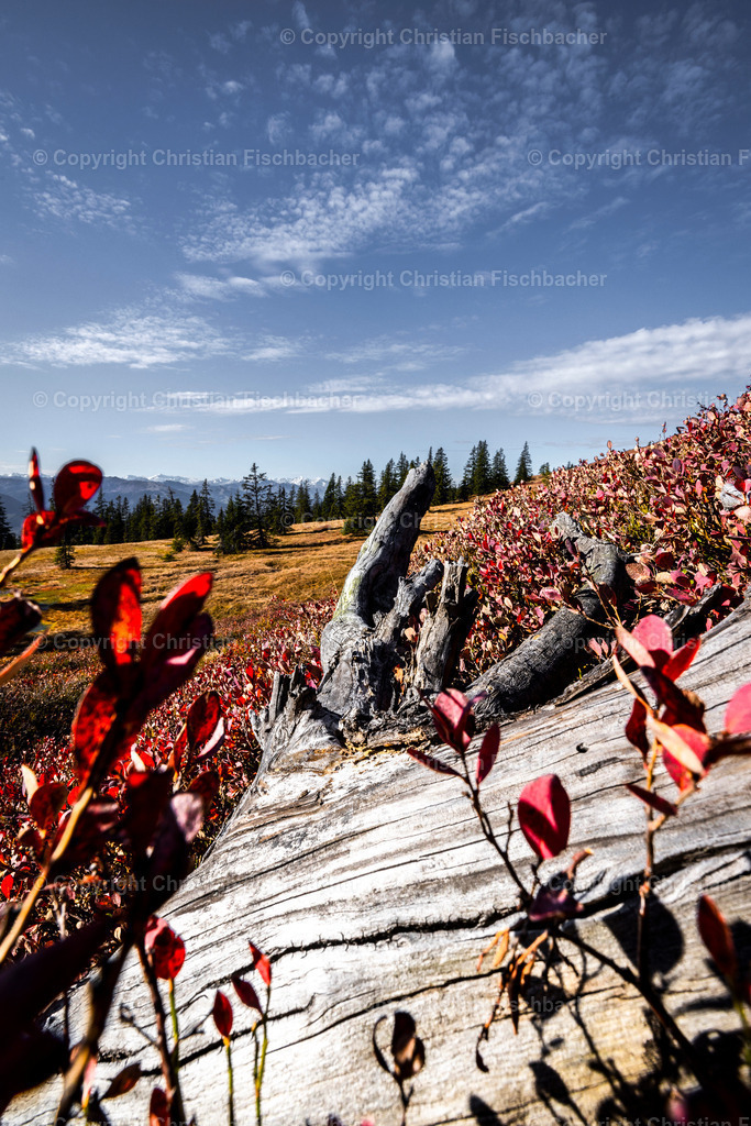 Fotos_Copyright_Chri_Fischbacher_Druck-488 | Bildershop Chri Fischbacher - Realisiert mit Pictrs.com