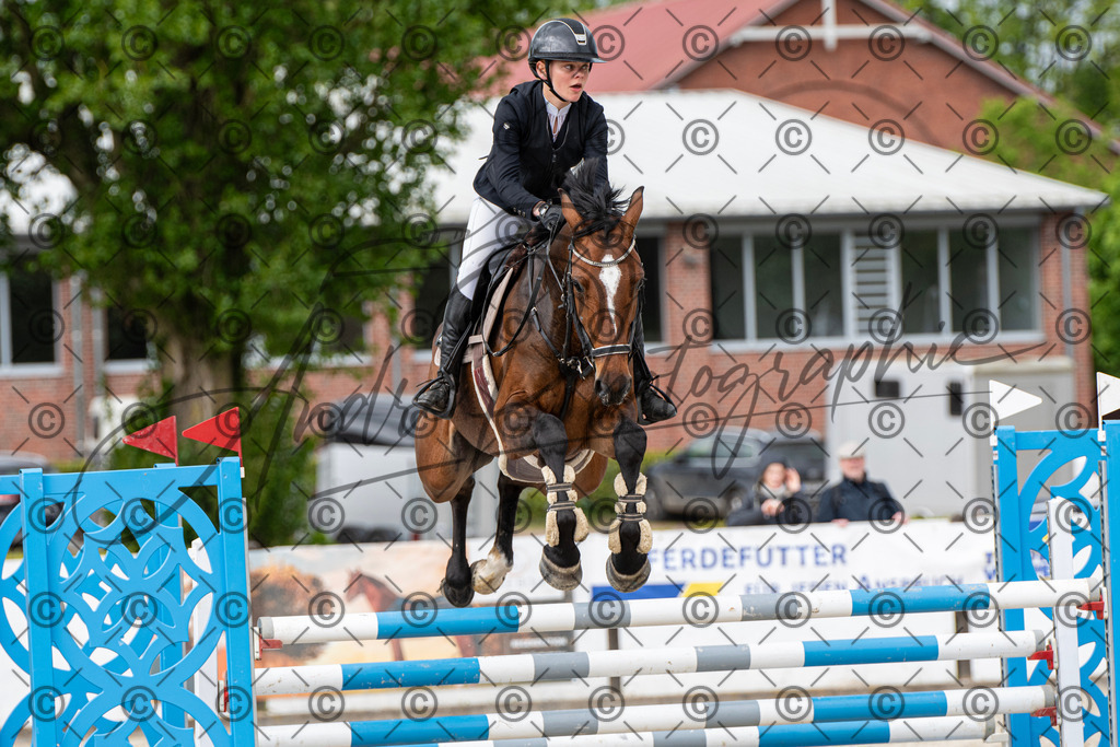 KPT_9886 | andre_photographic