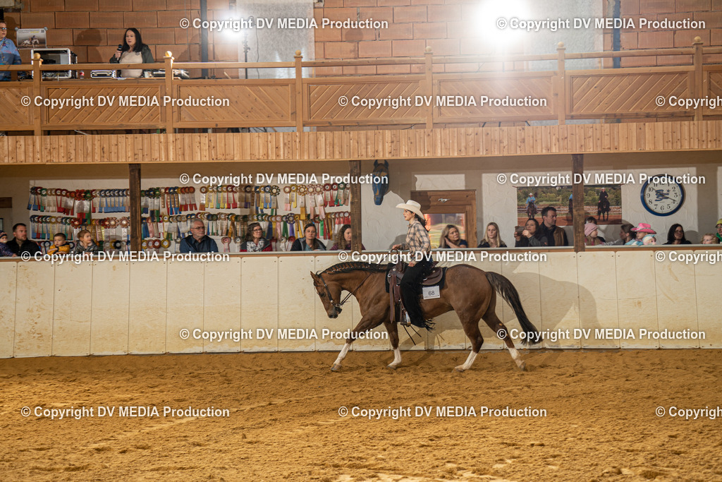 MIT00952 | dv-media-shop - Realisiert mit Pictrs.com