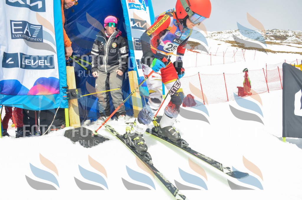 _ELE8041 | holidayphoto