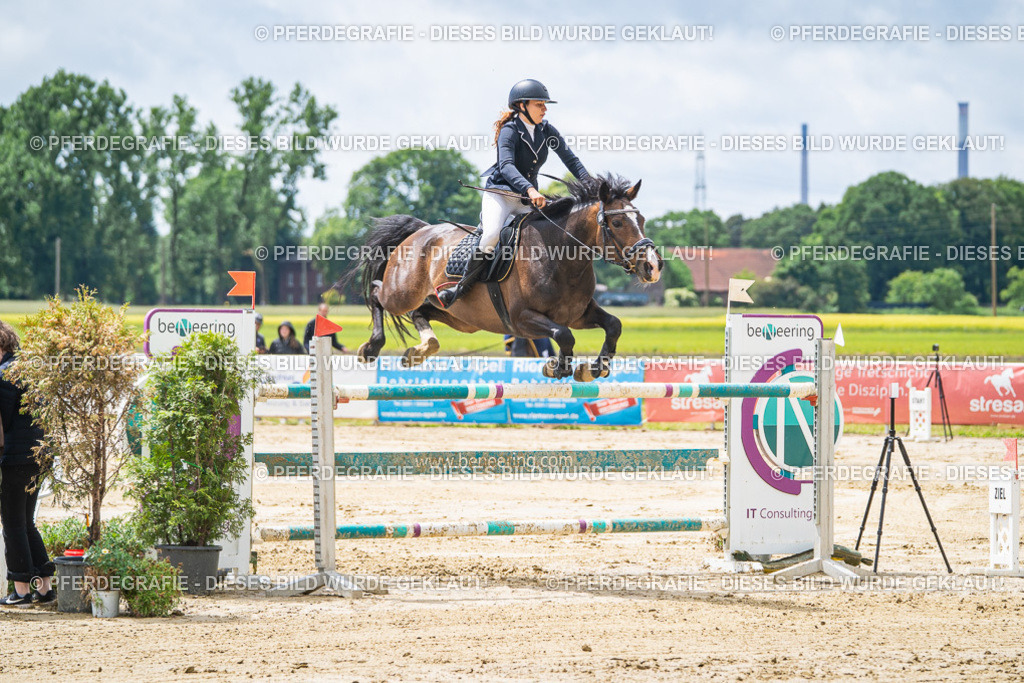 DSC04518 | Pferdegrafie