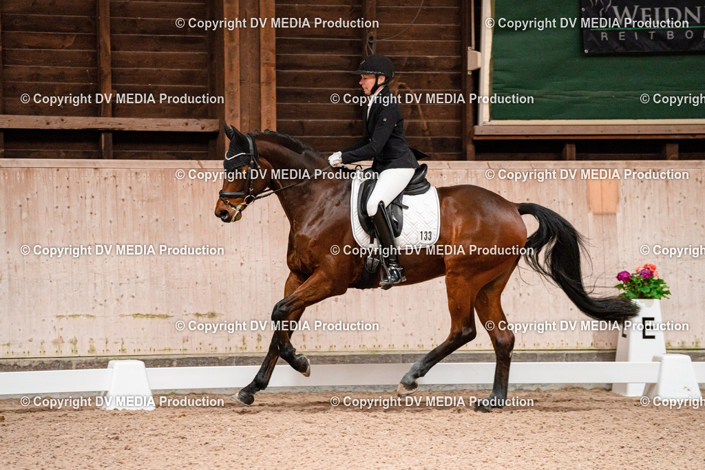 Dressur Tag 3-137 | dv-media-shop - Realisiert mit Pictrs.com