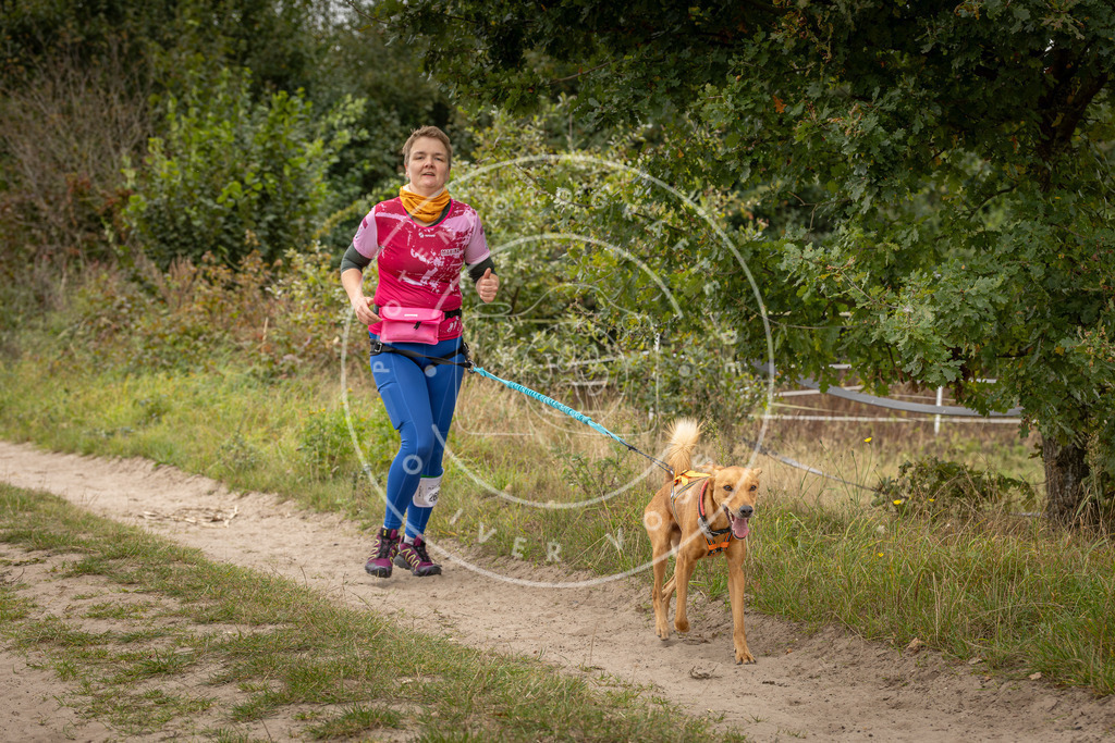 Pfotenfotografie_DV3A8021 | Hundefotografie, Tierfotograf, Pfotenfotografie, Fotoshooting Hund, Hunde Portrait, Hundesport, Hundeportraits, Heideshooting, Hunde, Sportfotograf, Hundefotograf, Turnierhundsport, THS,  - Realisiert mit Pictrs.com