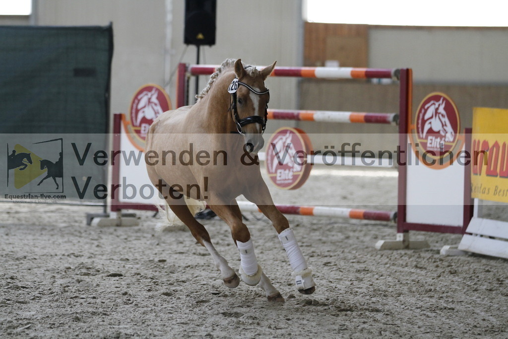 _MG_9747 | equestrian-live-com
