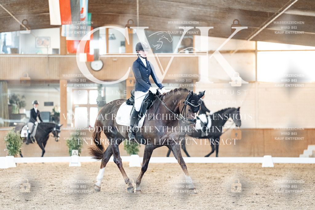 CK906806 | Turnierfotografie Pferdefotografie Trier Rheinland-Pfalz Pferdesport Reitsport Tierfotografie Sportfotografie Pferdevideo Pferdevideografie Equestrianvideography equestrianphotography  - Realized with Pictrs.com