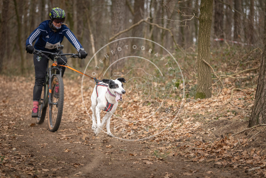 Pfotenfotografie_DV3A0167 | Hundefotografie, Tierfotograf, Pfotenfotografie, Fotoshooting Hund, Hunde Portrait, Hundesport, Hundeportraits, Heideshooting, Hunde, Sportfotograf, Hundefotograf, Turnierhundsport, THS,  - Realisiert mit Pictrs.com