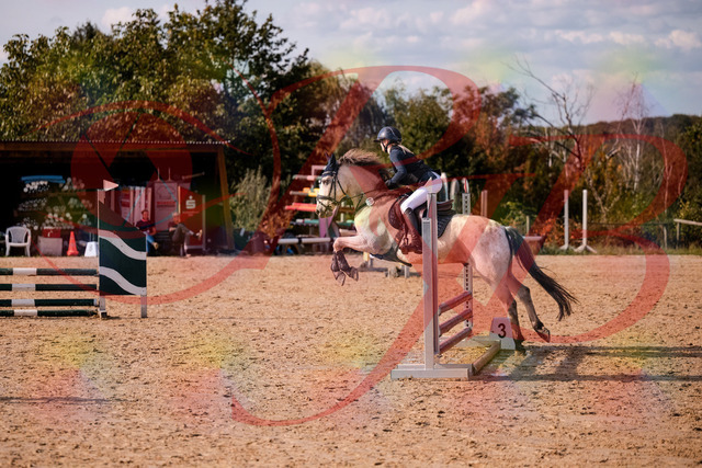 2026_10_03_Siefer-Hof_154508_Z81_63350401 | Professionelle Reitsport-, Turnier- und Eventfotografie von Robert Broda. Galerien mit ausgewählten und bearbeiteten Bildern direkt online ansehen und bestellen.