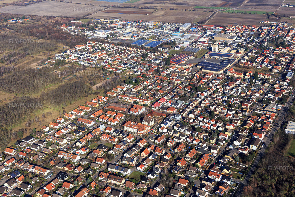 Luftbild: Ortsansicht aus Südwesten in Maxdorf im Bundesland Rheinland-Pfalz in Deutschland. Foto: IMG_125415.jpg vom 21.02.2021 durch Werner Riehm/FLY-FOTO.de