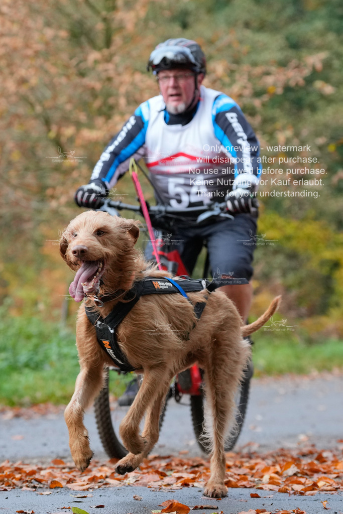 AusschnitteSo-58 | stephaniefillaphotographie - Realisiert mit Pictrs.com