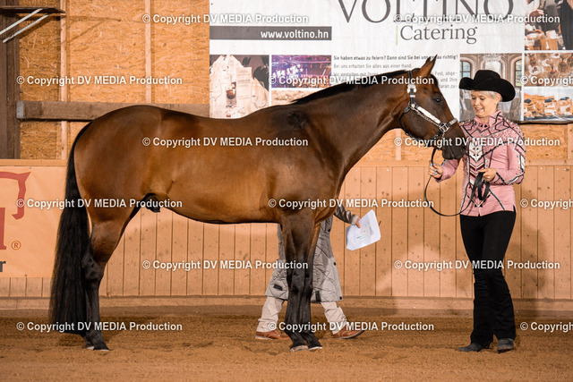 NE100041 | dv-media-shop - Realized with Pictrs.com