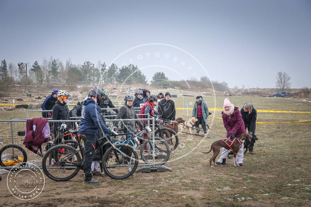 Pfotenfotografie_0L8A2202 | Hundefotografie, Tierfotograf, Pfotenfotografie, Fotoshooting Hund, Hunde Portrait, Hundesport, Hundeportraits, Heideshooting, Hunde, Sportfotograf, Hundefotograf, Turnierhundsport, THS,  - Realisiert mit Pictrs.com