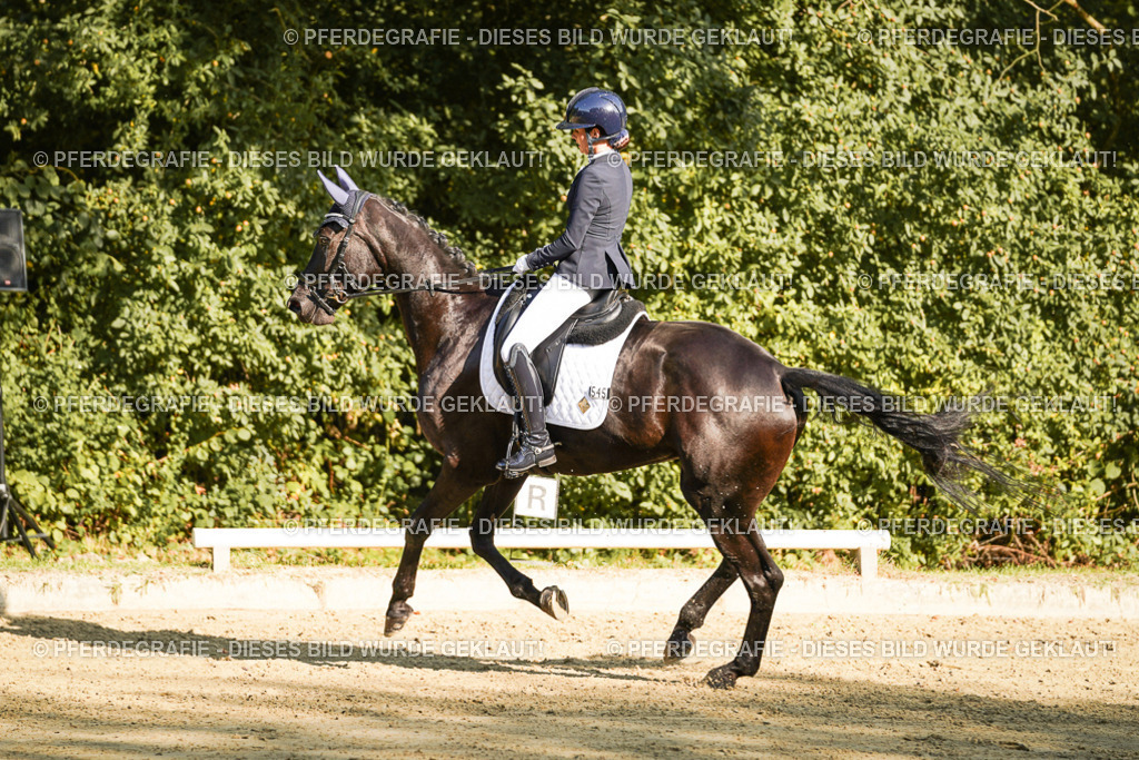 DSC06240 | Pferdegrafie