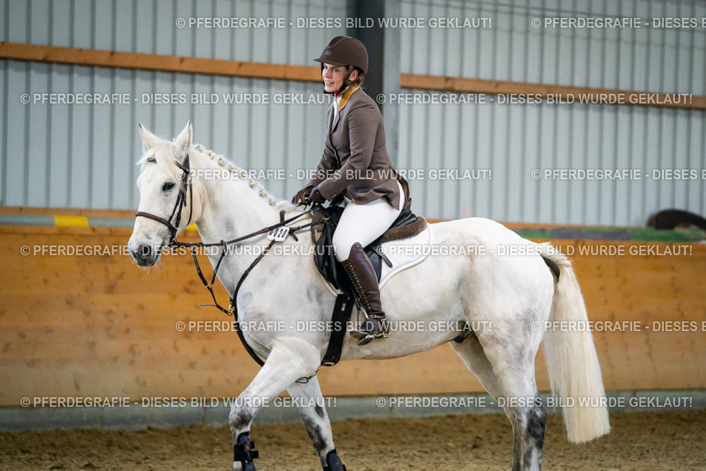 DSC00658 | Pferdegrafie