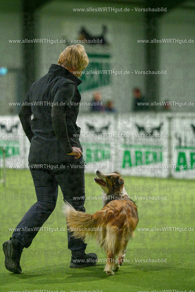 7R504409 | Professionelle Tierfotografie in Mönchengladbach von Daniel Wirth (allesWIRTHgut). Liebevolle & natürliche Bilder von Hunden & Katzen für unvergessliche Erinnerungen.