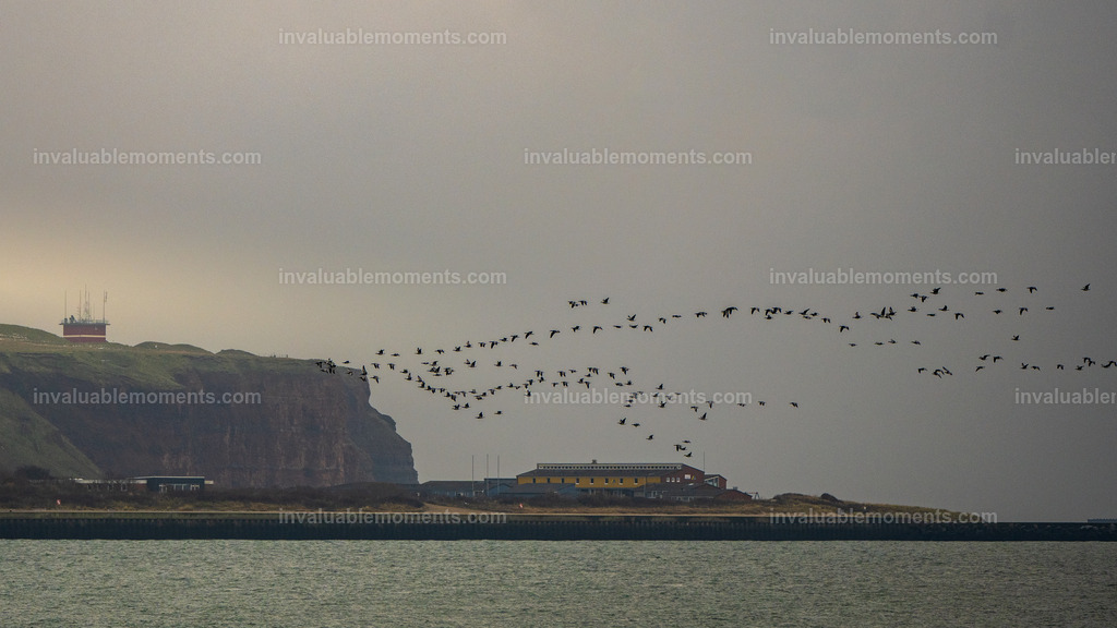 DSC_0810-2-106 | invaluablemoments.com - Realisiert mit Pictrs.com