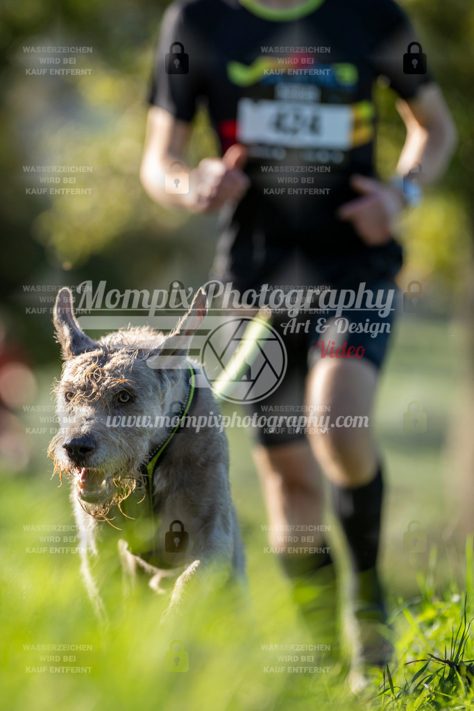 MompixPhotography_20TSB_E3_Run-88 | PayLife