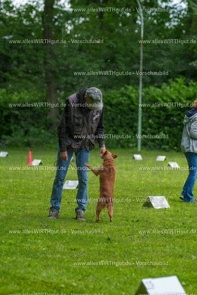 @allesWIRTHgut_Tierfotografie - www.allesWIRTHgut.de - 7R504268 | Professionelle Tierfotografie in Mönchengladbach von Daniel Wirth (allesWIRTHgut). Liebevolle & natürliche Bilder von Hunden & Katzen für unvergessliche Erinnerungen.