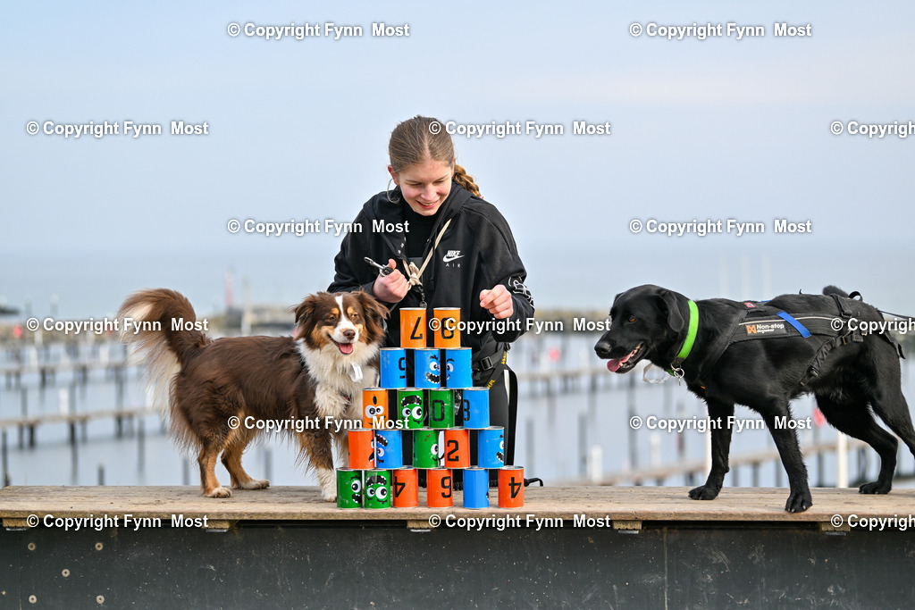 DSC_6279 | Hallo und herzlich Willkommen auf meiner Shop-Seite Fynn Most.

Ich wünsche Dir viel Spaß beim stöbern durch die Bilder, wenn Du Fragen hast oder Bilder vermisst, kannst du mir gerne eine Nachricht schreiben. - Realisiert mit Pictrs.com