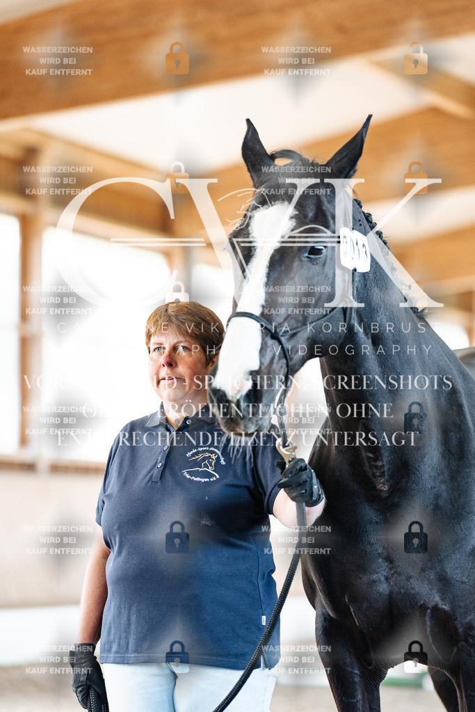 CK906215 | Turnierfotografie Pferdefotografie Trier Rheinland-Pfalz Pferdesport Reitsport Tierfotografie Sportfotografie Pferdevideo Pferdevideografie Equestrianvideography equestrianphotography  - Realisiert mit Pictrs.com