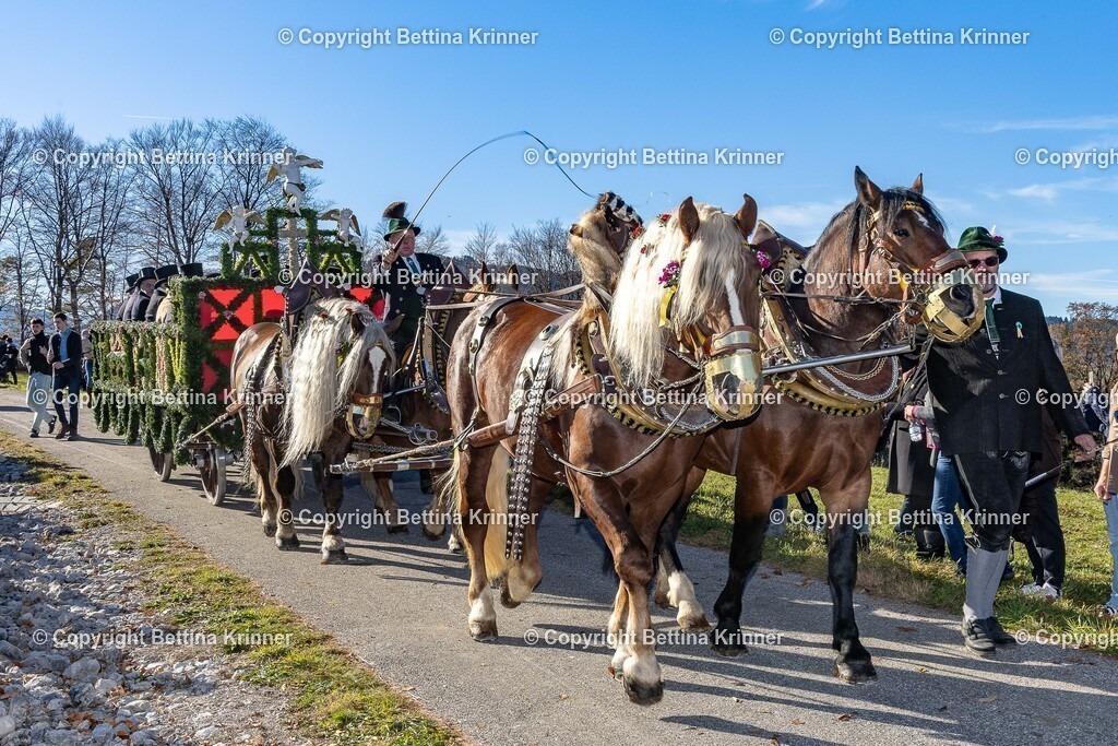 LBT25-975 | foto-bettina-krinner - Realisiert mit Pictrs.com