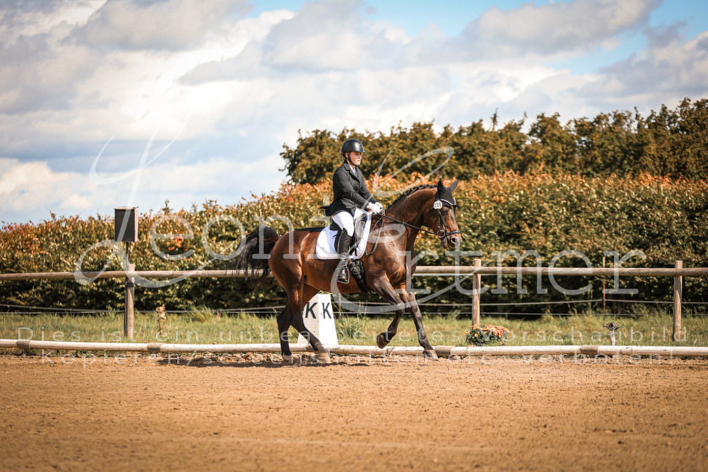 14.SaDrA200033 | Leoni Ertmer Photography - Realisiert mit Pictrs.com