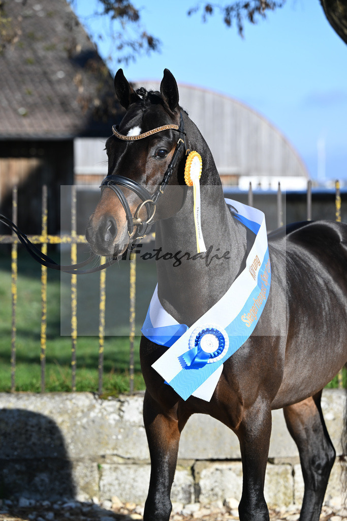 Kat-Nr. 6 Junkbrunnens Nomen est Omen v. Neverland WE_Thomas_49250336 | hf-fotografie - Realisiert mit Pictrs.com