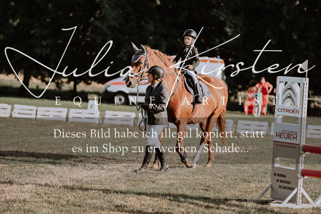 DSC_0081 | Pferde- und Turnierfotografie in Westsachsen. Pferdeportraits, Auftragszeichnungen und intuitive Kunst.