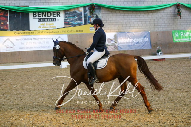 IMG_2701 | Turnierfotos kaufen im Webshop von Daniel Kuhl Photography – entdecke professionelle Reitsportfotos aus Turnieren & Events. Hochwertige Turnierbilder online bestellen & sichern. Jetzt Fotos von Reitsportturnieren kaufen!