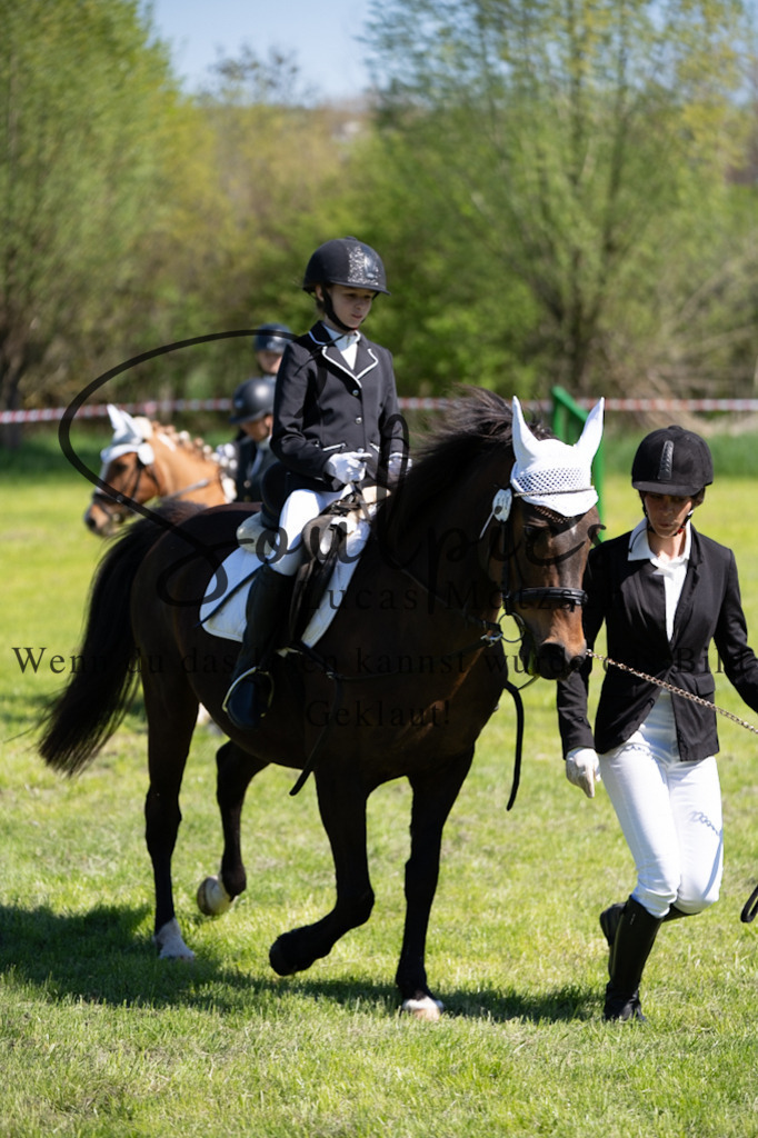 A7V01276 | Pferdefotograf