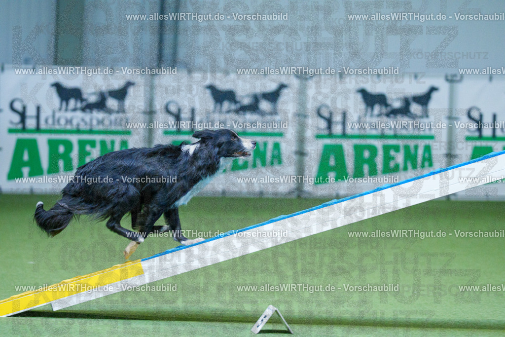 @allesWIRTHgut_Tierfotografie - www.allesWIRTHgut.de - 2604260809-7R506740 | Professionelle Tierfotografie in Mönchengladbach von Daniel Wirth (allesWIRTHgut). Liebevolle & natürliche Bilder von Hunden & Katzen für unvergessliche Erinnerungen.