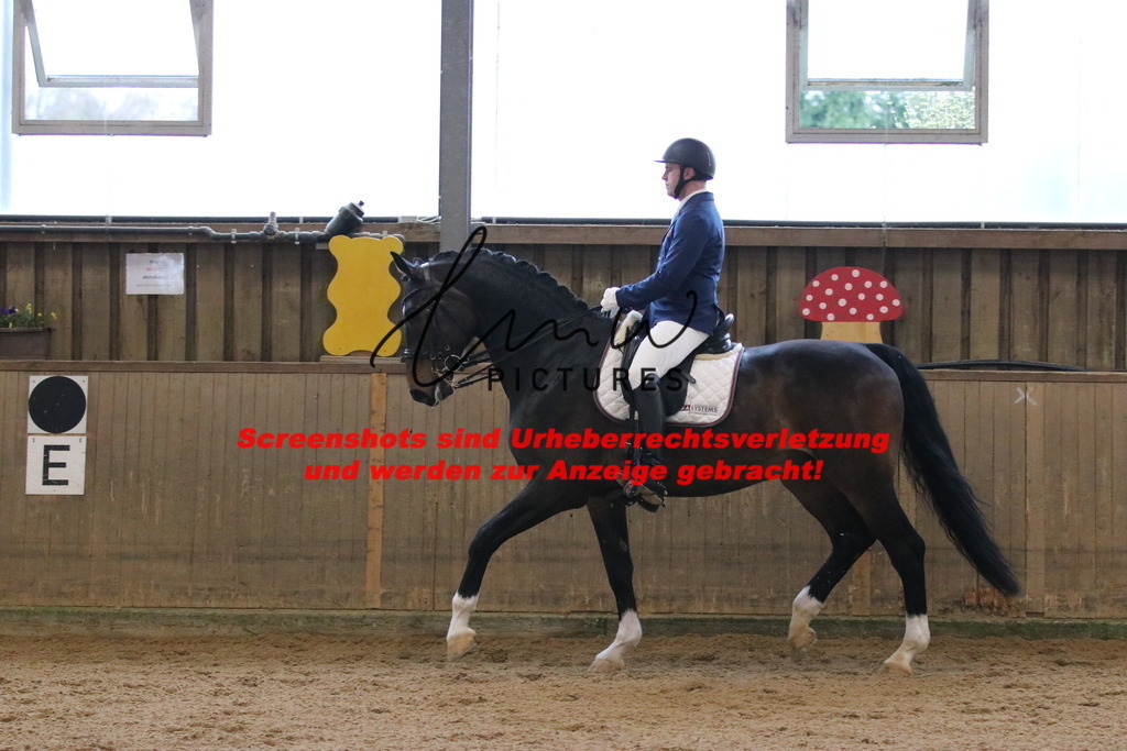 IMG_8904 | lmwpictures - Realisiert mit Pictrs.com