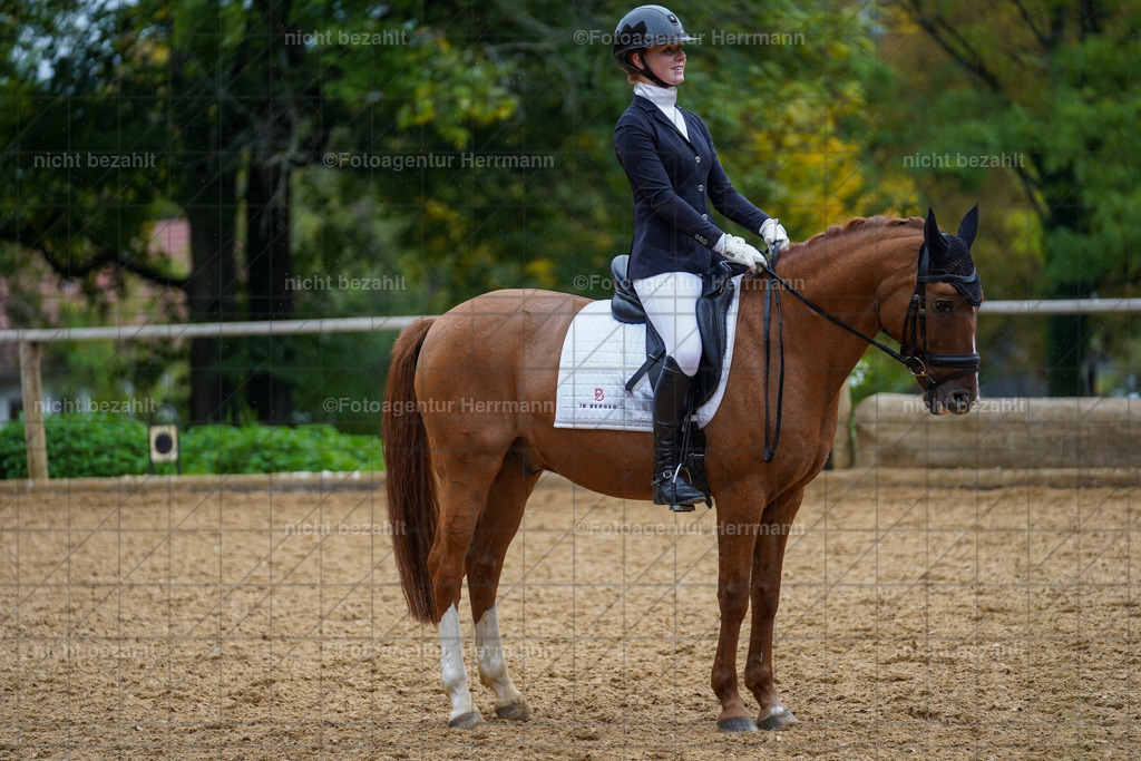 20221008-FAH01856 | Diessen am Ammersee, 2022, Dressur- und Springturnier, Reitsportbilder, Turnierfotografen Bayern, Pferdefotografen, Fotoagentur Herrmann, Turnierbilder