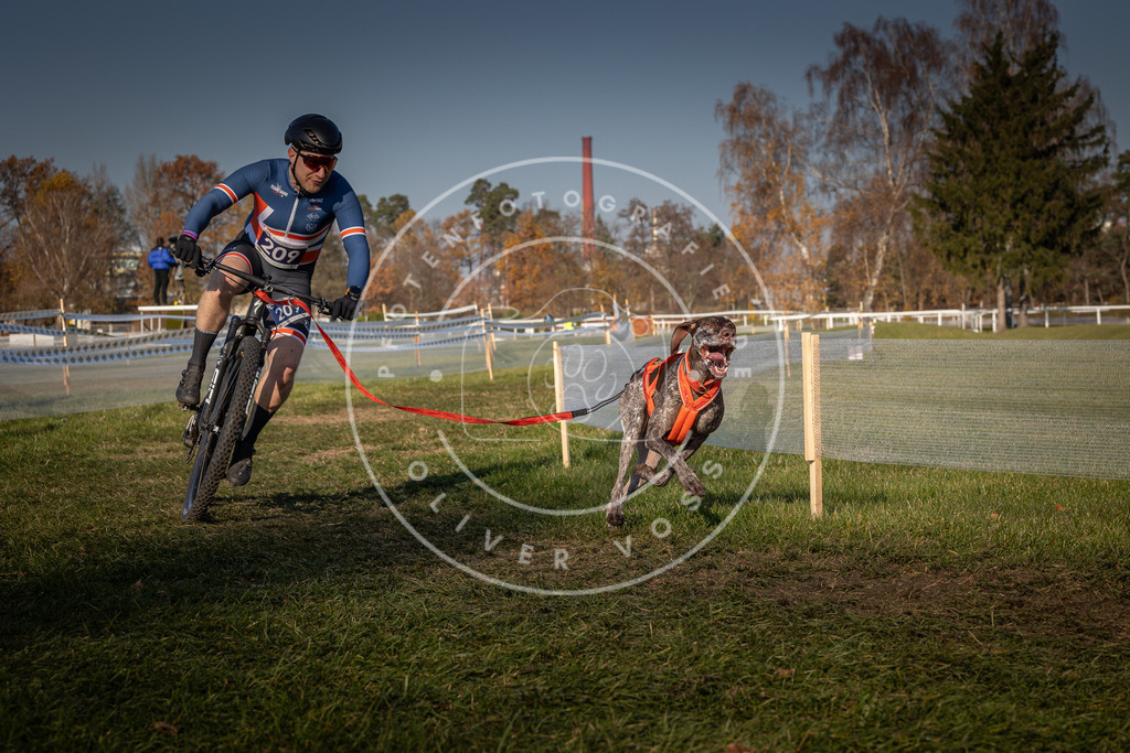 CaniXpix_0L8A6696 | Hundefotografie, Tierfotograf, Pfotenfotografie, Fotoshooting Hund, Hunde Portrait, Hundesport, Hundeportraits, Heideshooting, Hunde, Sportfotograf, Hundefotograf, Turnierhundsport, THS,  - Realisiert mit Pictrs.com