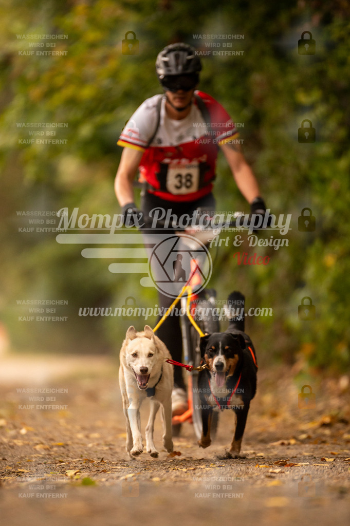CDLBDB_14_10_2023_Samedi-50 | PayLife
