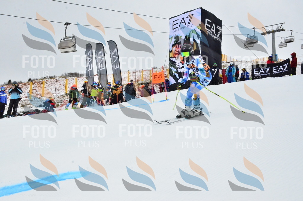 _ELE3442 | holidayphoto