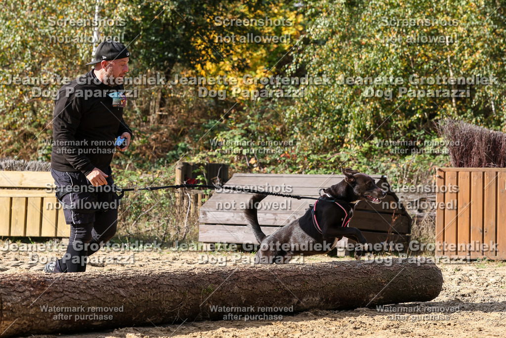 Dog Paparazzi - Strongdog 10-25-5150 | Dog Paparazzi Jeanette Grottendiek Fotografie & Videografie - Realisiert mit Pictrs.com