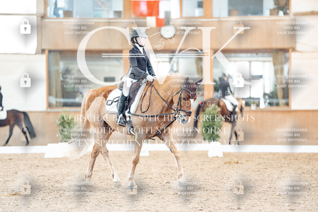 CK907953 | Turnierfotografie Pferdefotografie Trier Rheinland-Pfalz Pferdesport Reitsport Tierfotografie Sportfotografie Pferdevideo Pferdevideografie Equestrianvideography equestrianphotography  - Realisiert mit Pictrs.com