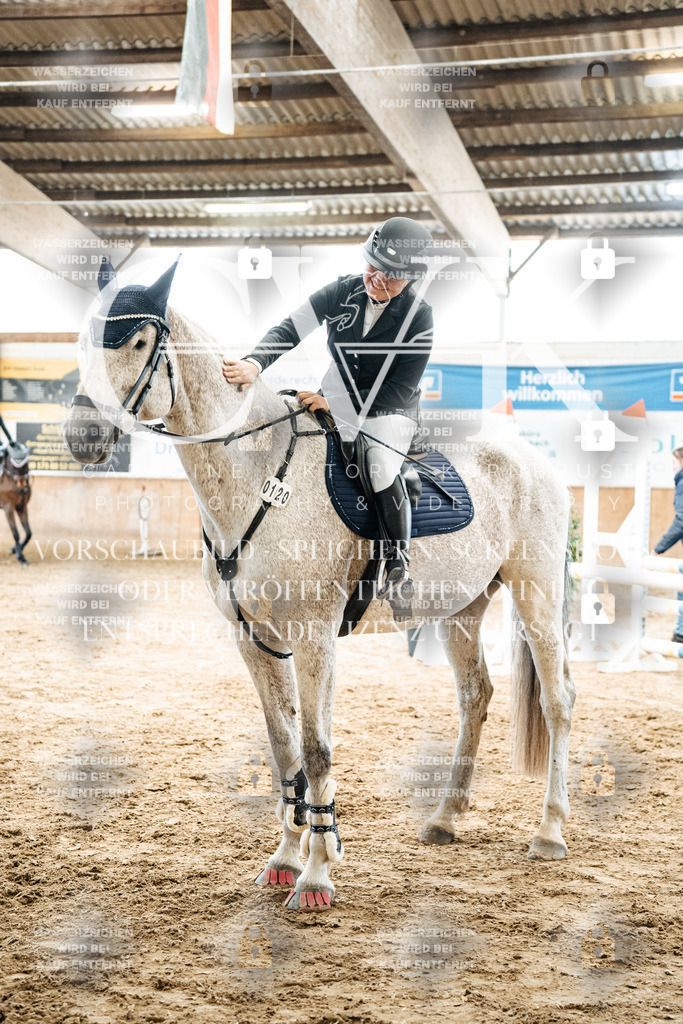 CK702898 | Turnierfotografie Pferdefotografie Trier Rheinland-Pfalz Pferdesport Reitsport Tierfotografie Sportfotografie Pferdevideo Pferdevideografie Equestrianvideography equestrianphotography  - Realized with Pictrs.com