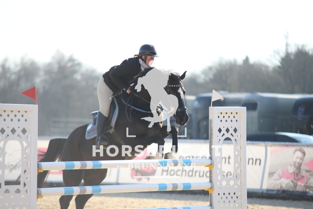 AS8V2565 | Willkommen bei Brunnmayr - Design & Fotografie – Ihrem Spezialisten für Reitturniere und Pferdeveranstaltungen in Oberösterreich, Salzburg und Bayern! Seit über 17 Jahren sind wir leidenschaftlich dabei.